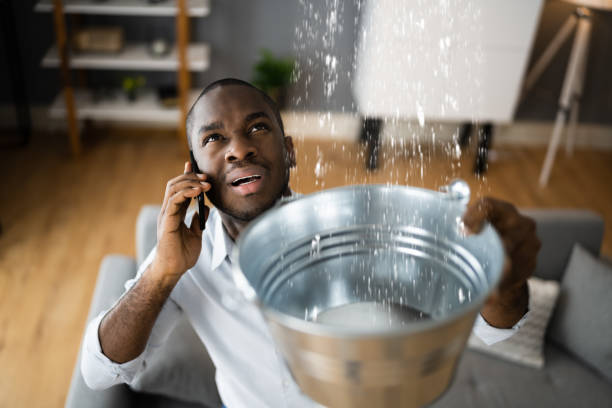 Best Basement water damage restoration  in Pato, WA