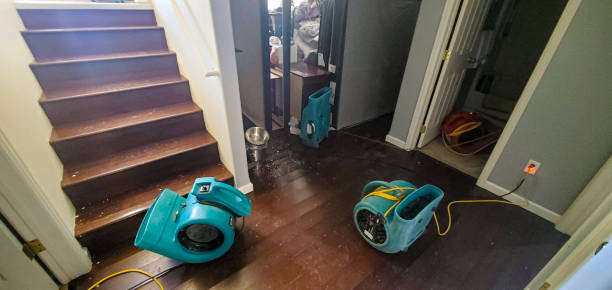 Best Mold removal after water damage  in Pato, WA