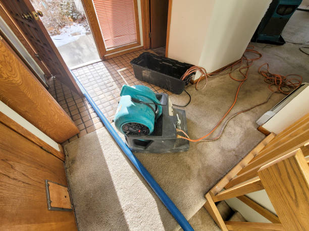 Best Professional water damage repair  in Pato, WA