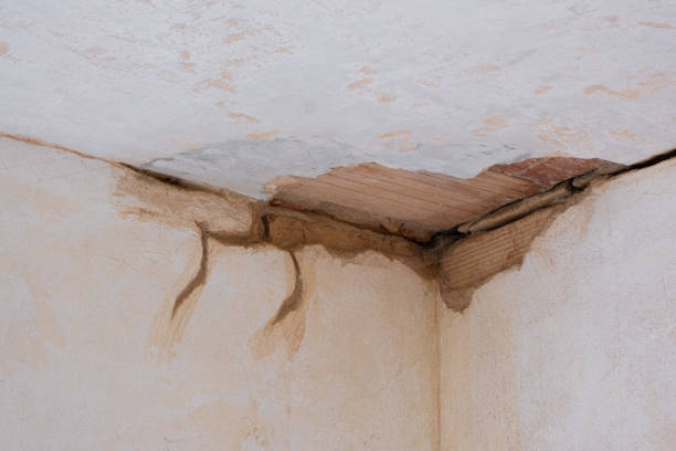 Best Water damage restoration insurance claims  in Pato, WA