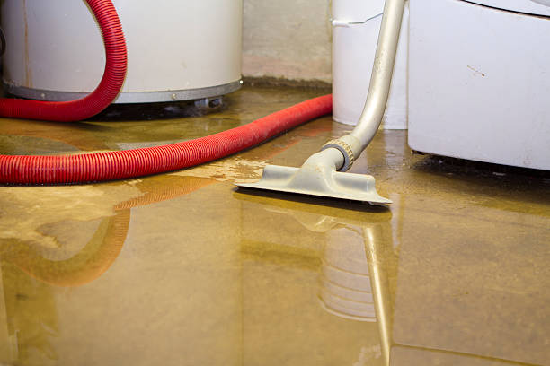 Best Water damage restoration near me  in Pato, WA