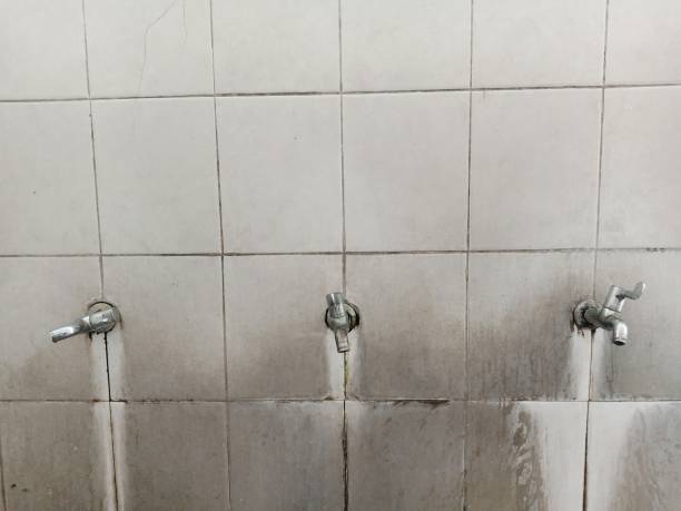 Best Residential water damage restoration  in Pato, WA