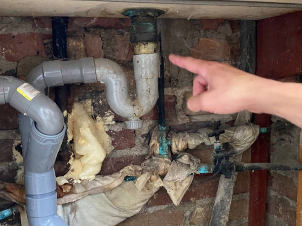Best 24/7 water damage repair  in Pato, WA