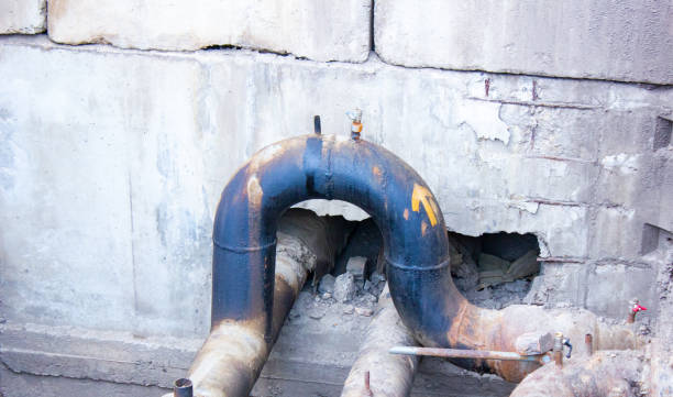 Best Water damage cleanup near me  in Pato, WA