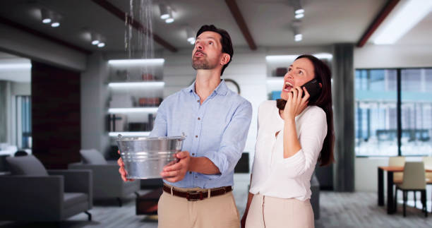  Pato, WA Water damage restoration Pros