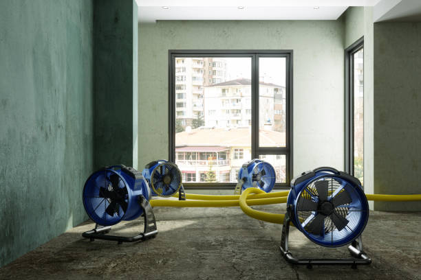 Best Water damage restoration near me  in Pato, WA