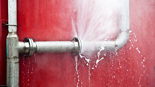 Best Ceiling water damage repair  in Pato, WA